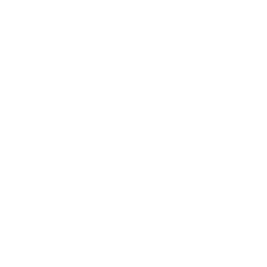 The Lido Collective