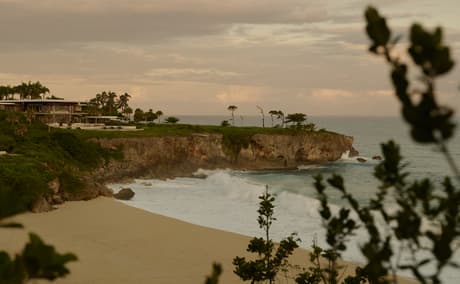 Amanera