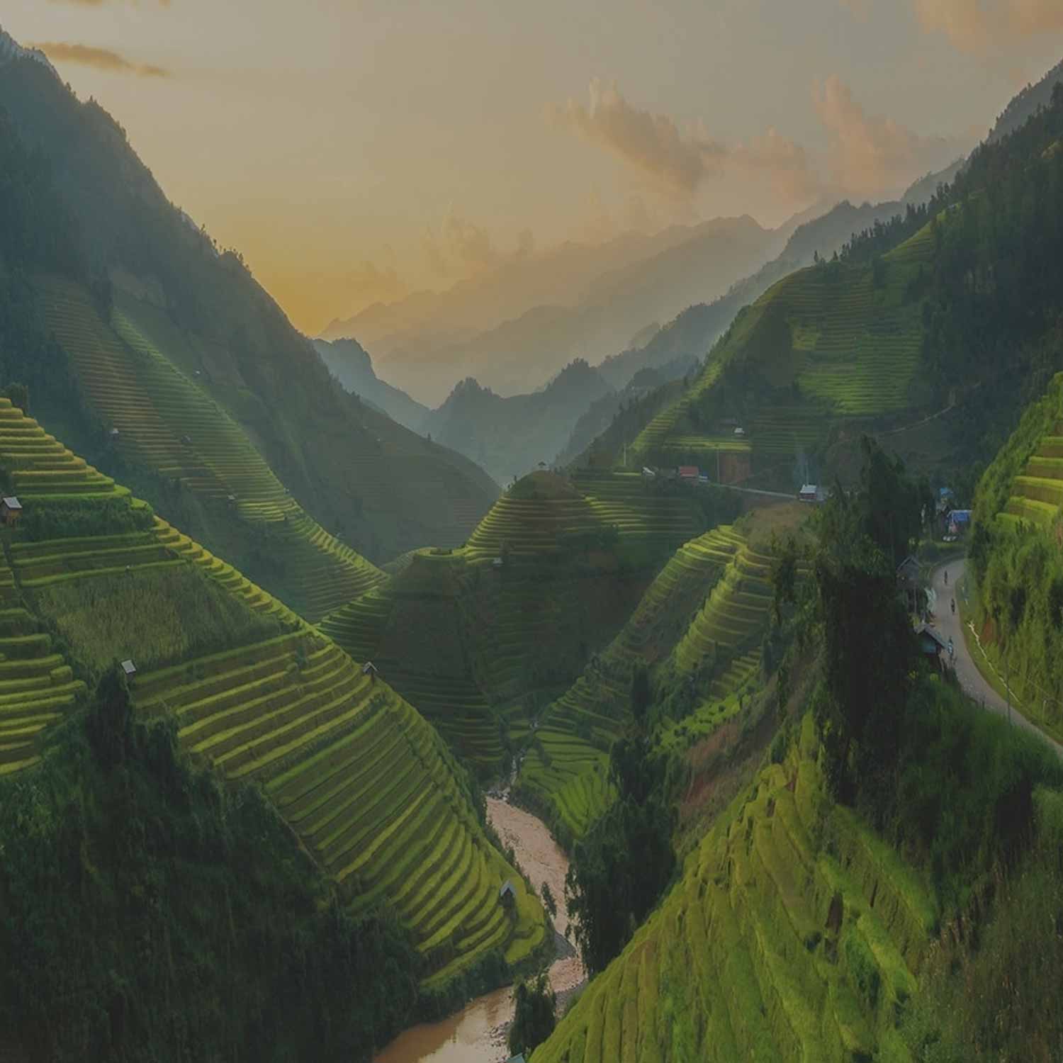 Regent Seven Seas Cruises gallery 4