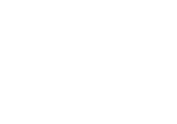Viking logo