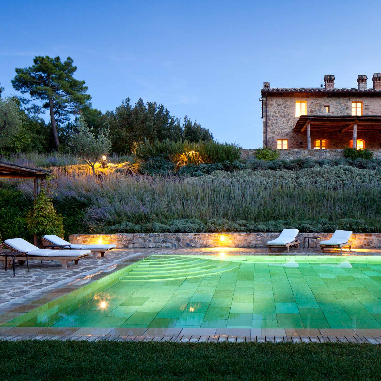 Discover Rosewood Elite